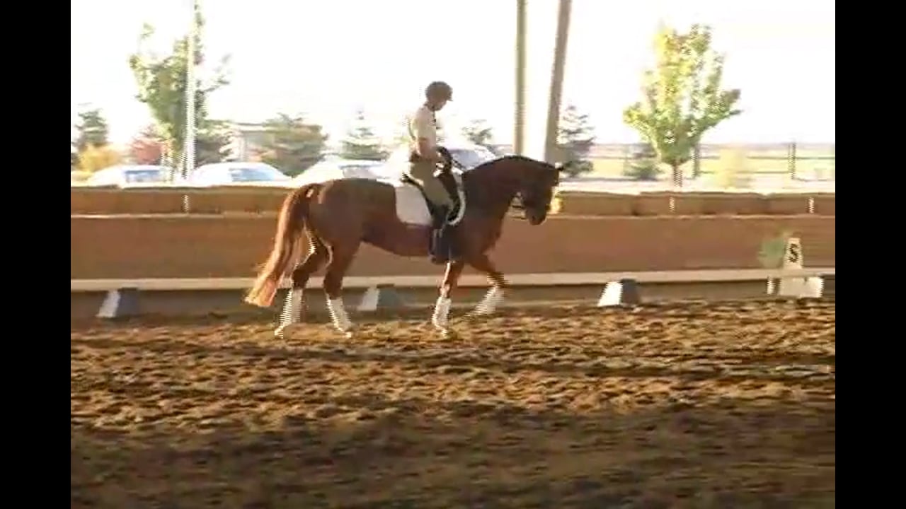Succeed/USDF FEI Level Trainer's Conf. Day 1 | Michael Etherly | PART 02