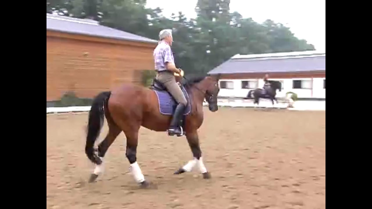 Suppling, Shoulder In, Half Pass & Counter Canter | Jean Bemelmans | PART 03