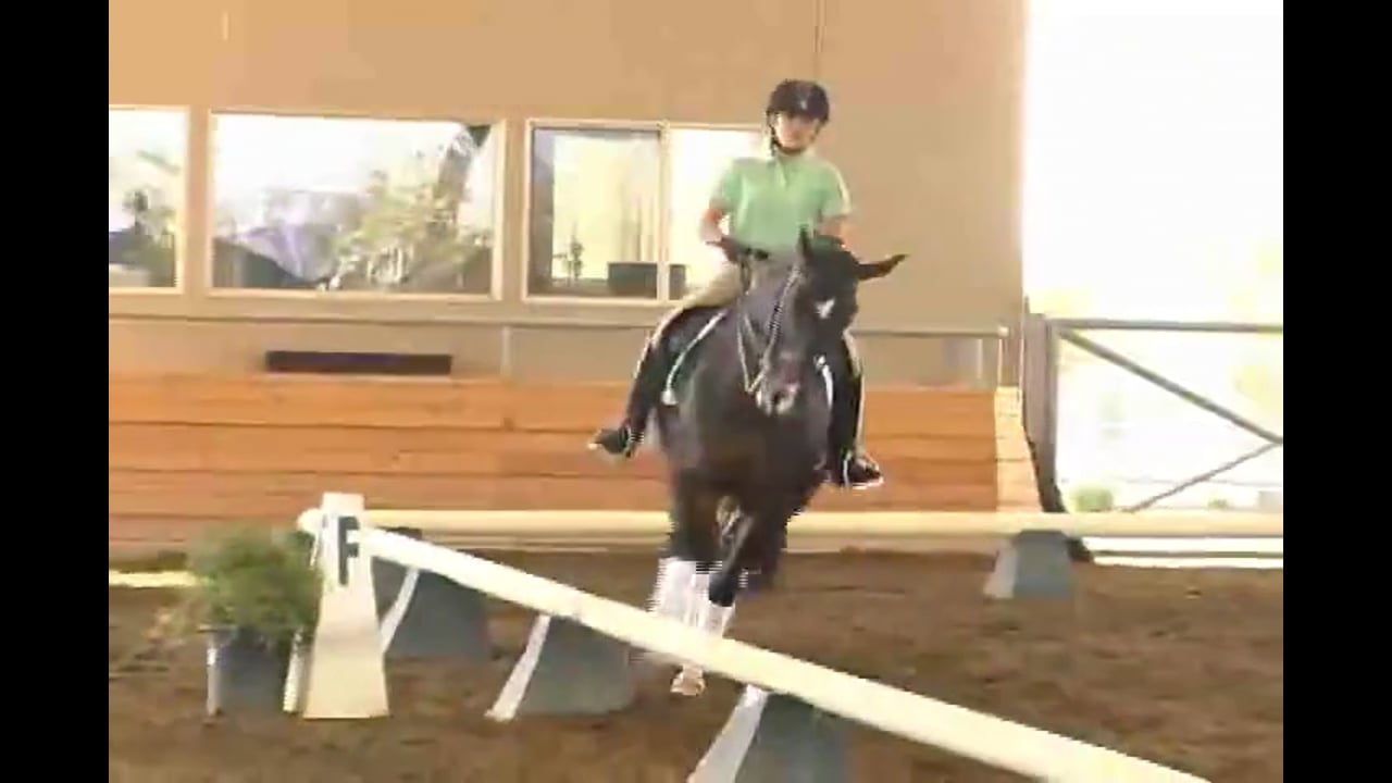 Succeed/USDF FEI Level Trainer's Conference, Taryn, Day 2, Part 3, Featuring Jan