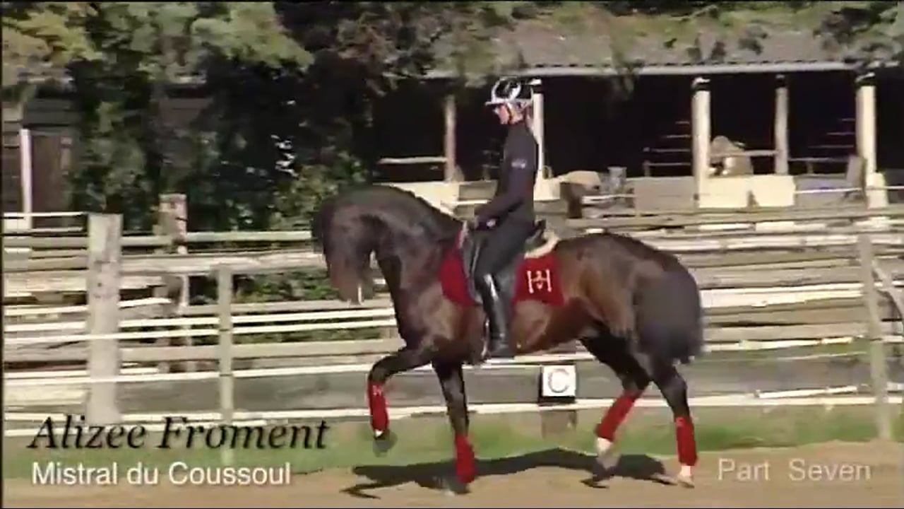Suppleness, Freedom, Passage and Piaffe | Alizee Froment | PART 07