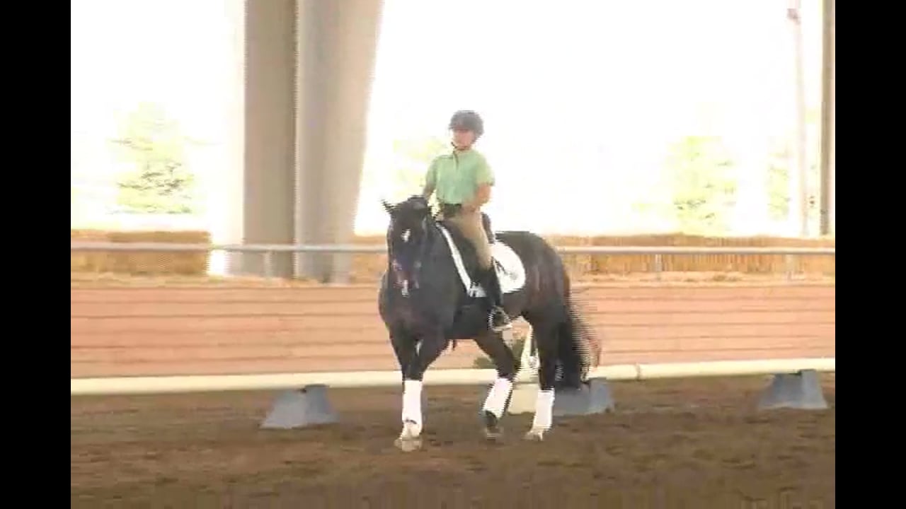2007 Succeed/USDF FEI Level Trainer's Conf, Day 1, Taryn | Jan Brink | PART 03