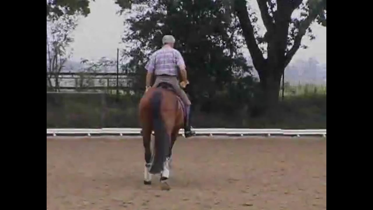 Suppling, Shoulder In, Half Pass & Counter Canter | Jean Bemelmans | PART 04