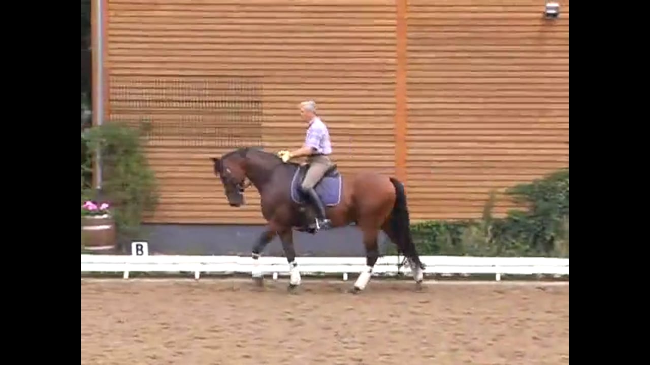 Suppling, Shoulder In, Half Pass & Counter Canter | Jean Bemelmans | PART 01