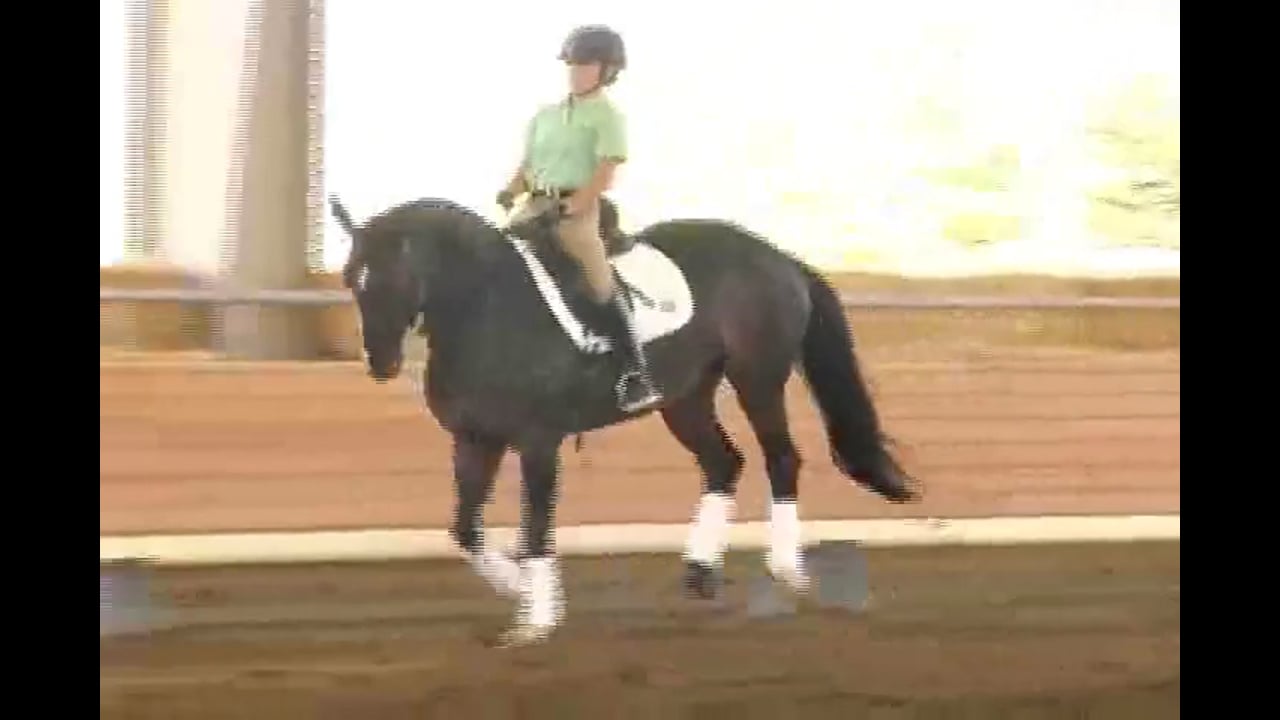 2007 Succeed/USDF FEI Level Trainer's Conf, Day 1, Dirk | Jan Brink | PART 01