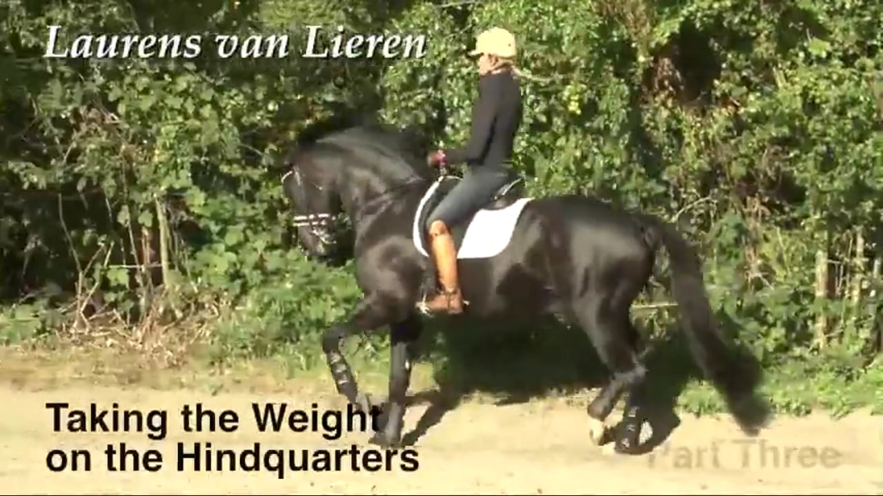 Take the Weight on the Hindquarters | Laurens van Lieren | PART 03