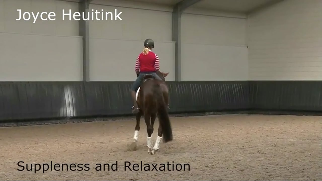 Suppleness and Relaxation | Joyce Heuitink | PART 02