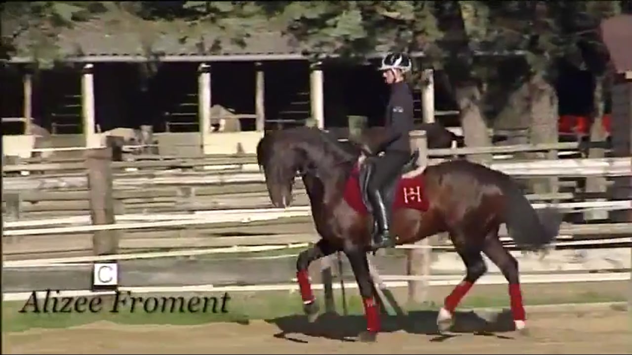 Suppleness, Freedom, Passage and Piaffe | Alizee Froment | PART 04