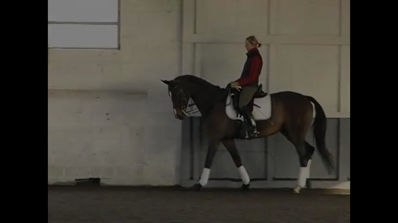 Suppling Your Horse and Training Changes | Courtney King-Dye | PART 03