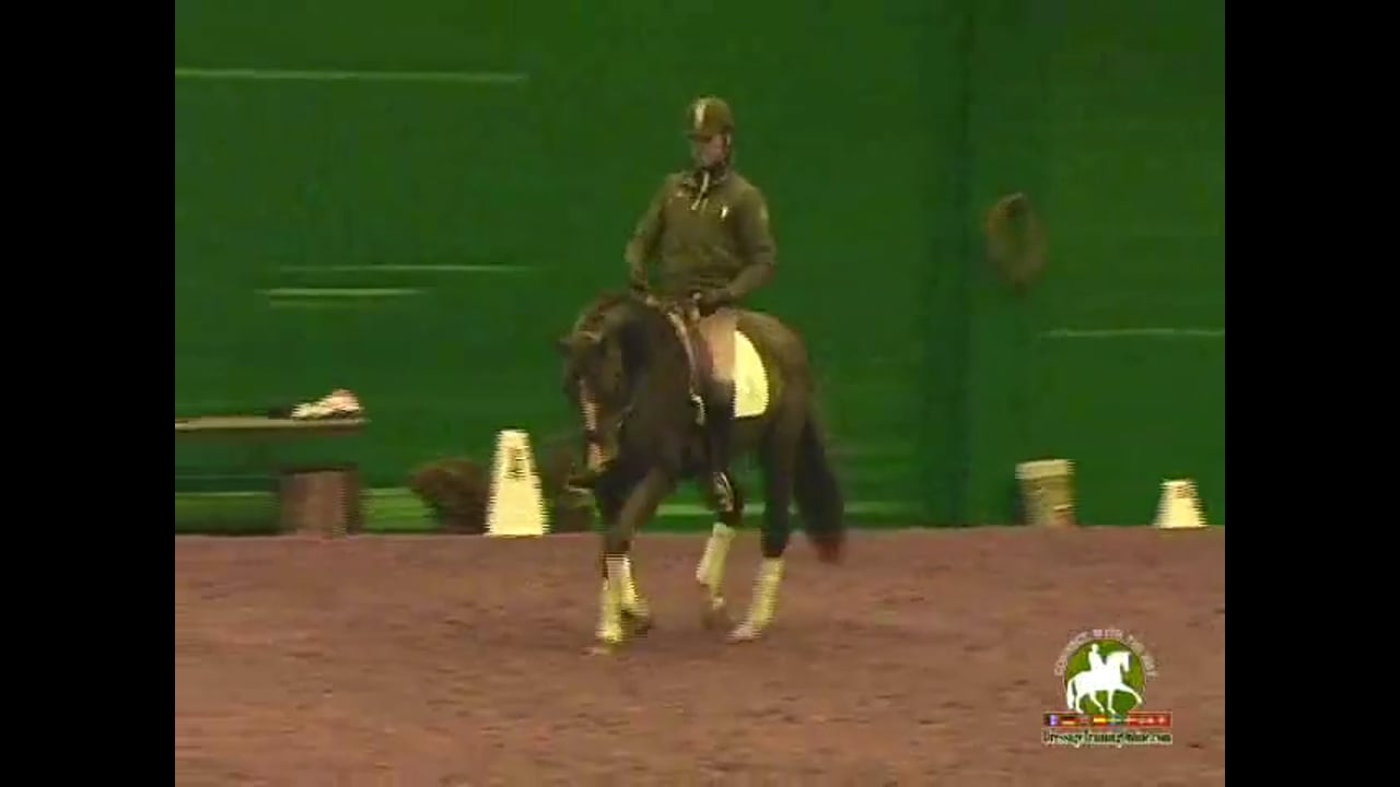 Testing the Signals, Does Your Horse Understand? | Jan Brink | PART 02