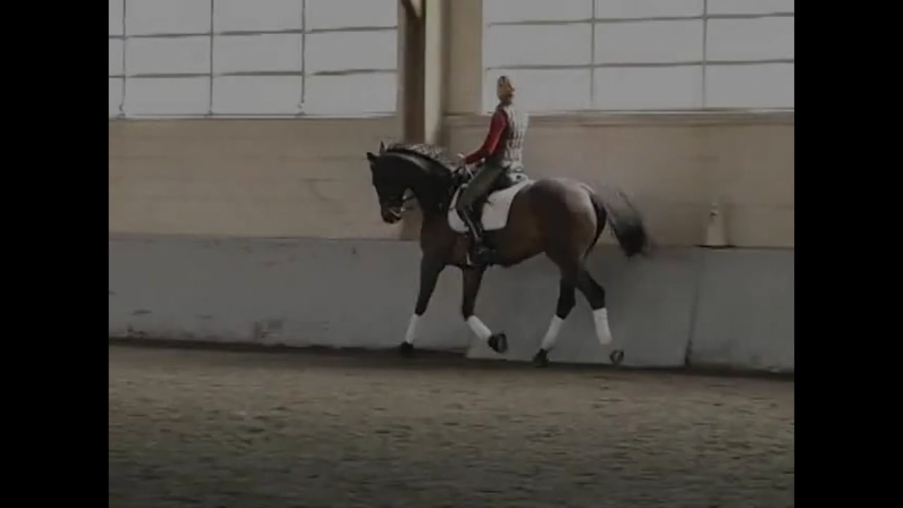 Suppling Your Horse and Training Changes | Courtney King-Dye | PART 02