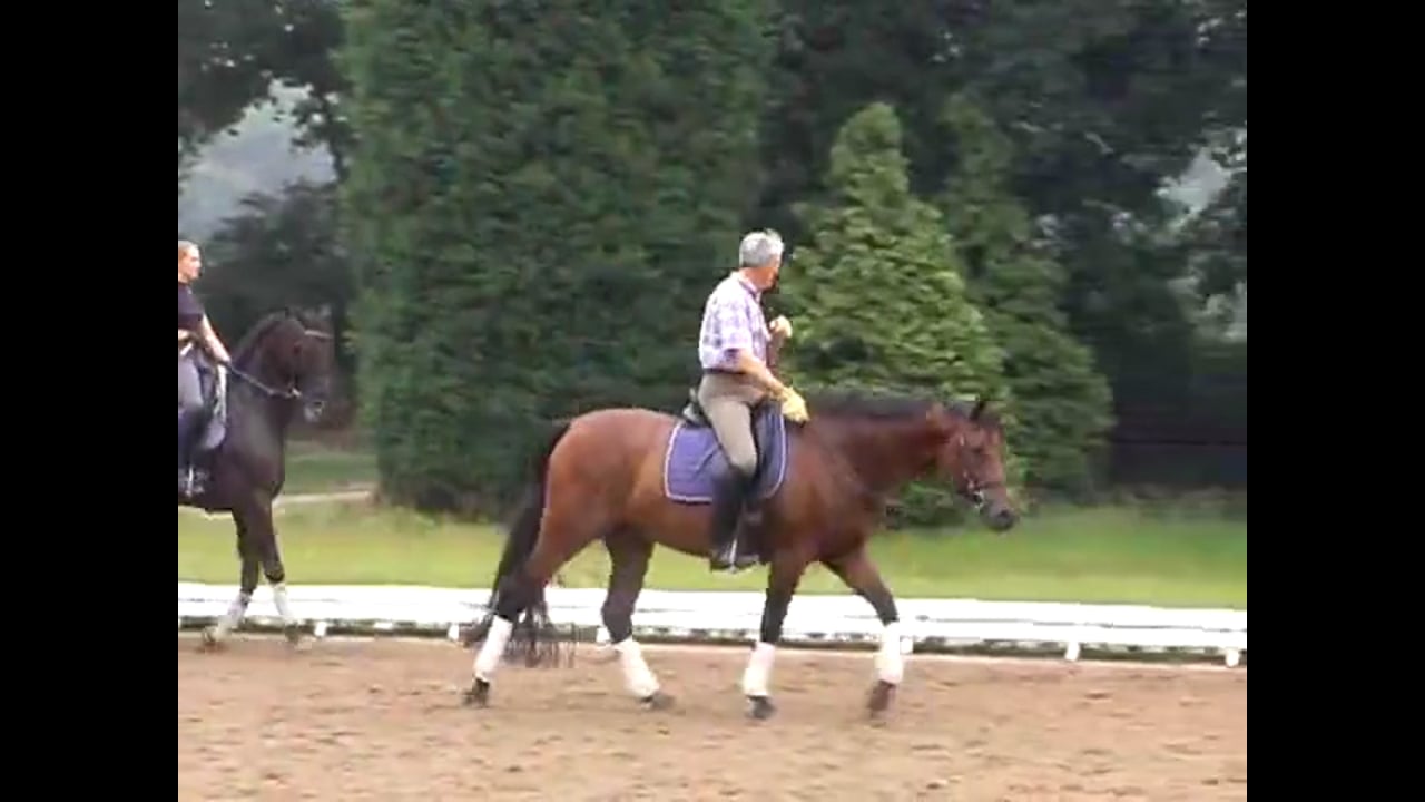 Suppling, Shoulder In, Half Pass & Counter Canter | Jean Bemelmans | PART 02