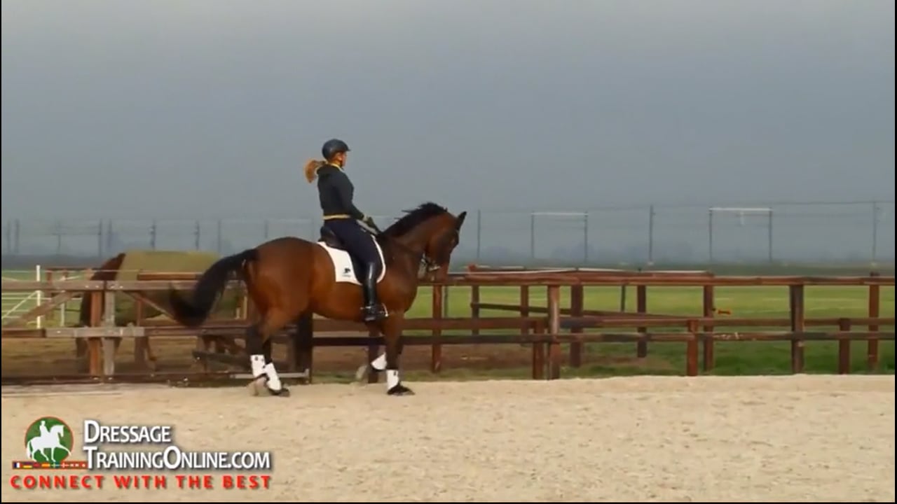 Tempo, Reaction, Transitions, and Flying Changes | Lotje Schoots | PART 04
