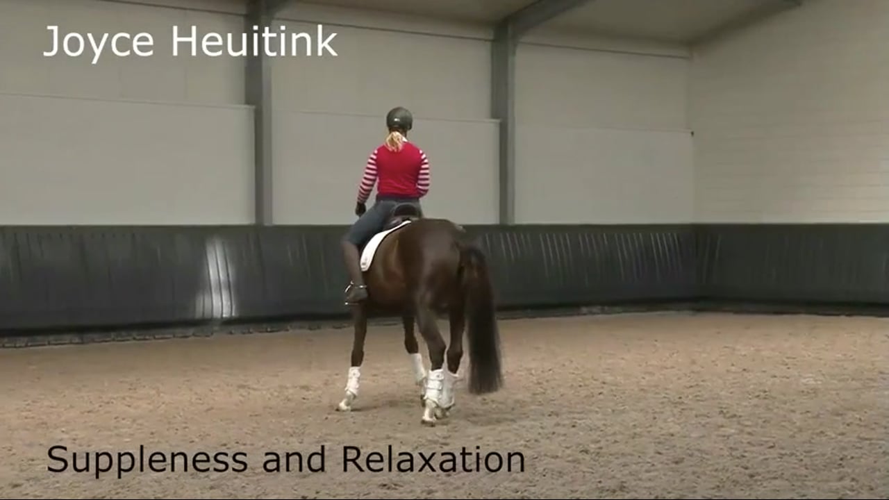Suppleness and Relaxation | Joyce Heuitink | PART 03