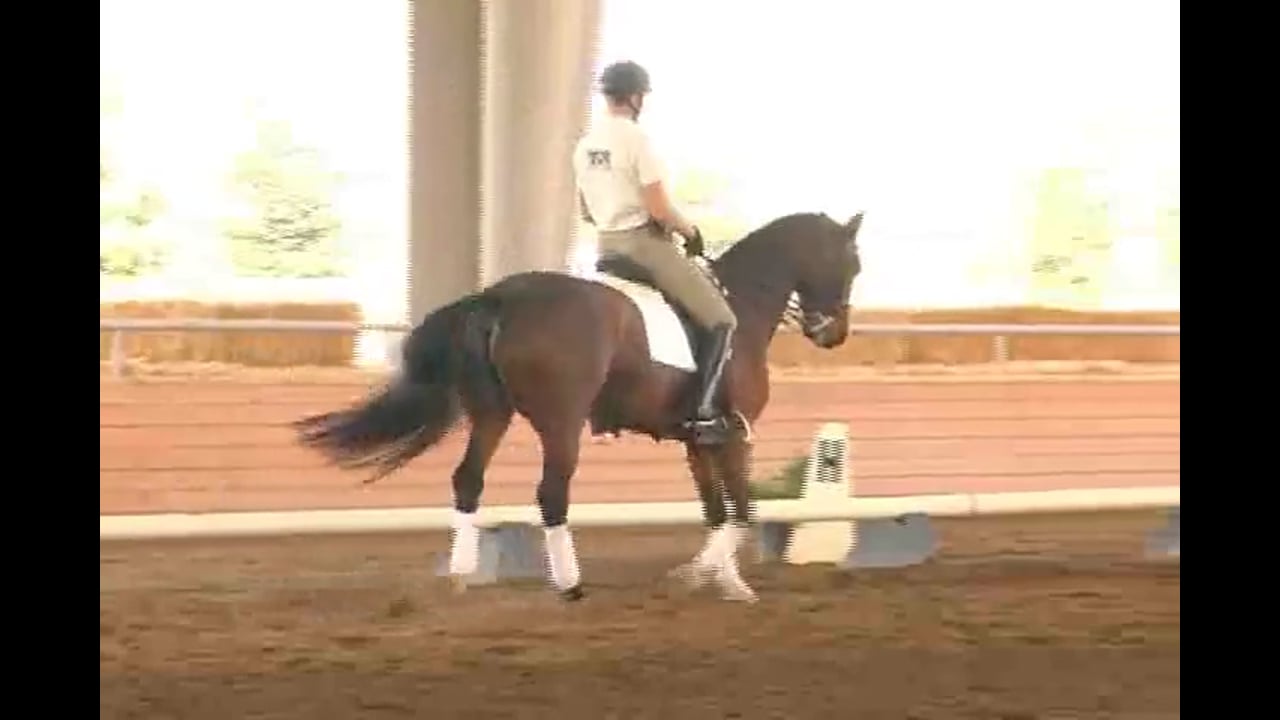 2007 Succeed/USDF FEI Level Trainer's Conf, Day 2, Heather | Jan Brink | PART 01