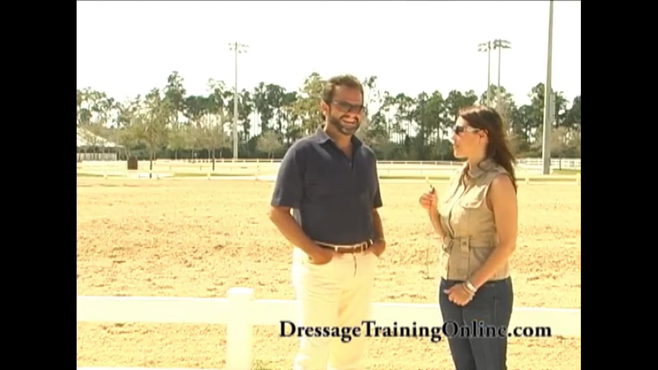 The Lusitano Collection Auction - Interview with Manuel | Brazilian Lusitano