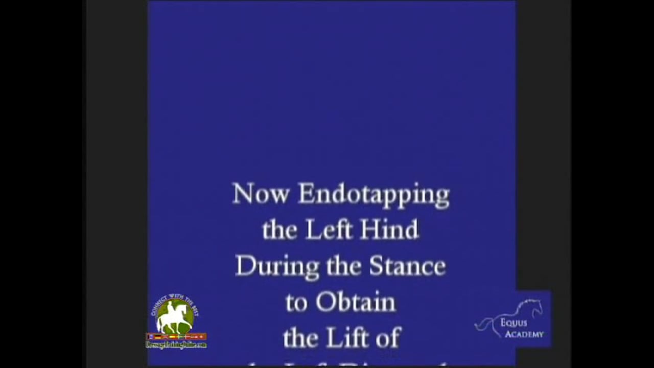 The Endotapping Method, Relax, Reward | J.P. Giacomini | PART 02