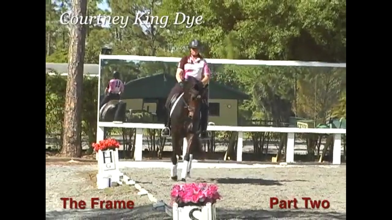 The Frame - Obtaining Lightness | Courtney King-Dye | PART 02