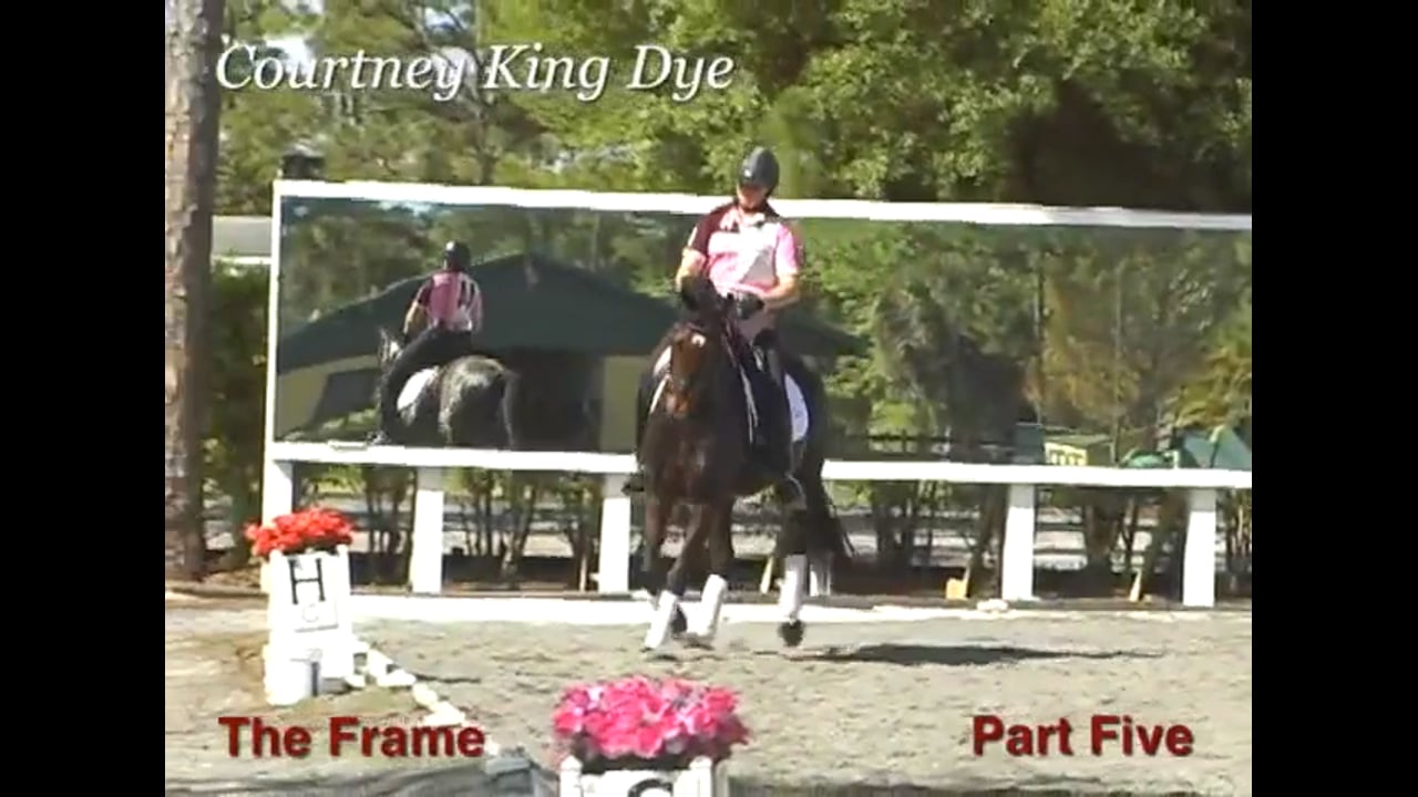 The Frame - Obtaining Lightness | Courtney King-Dye | PART 05