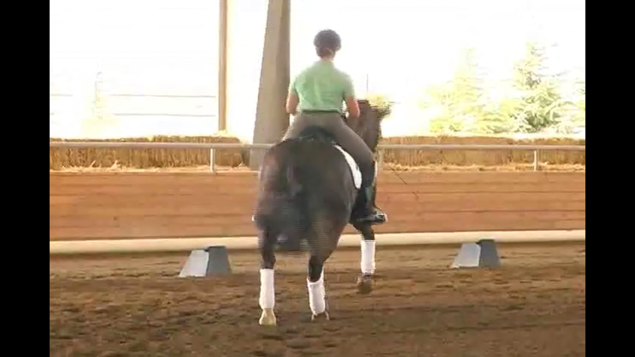 Tempi Changes & Zig Zags with a Croup High Horse | Jan Brink | PART 02