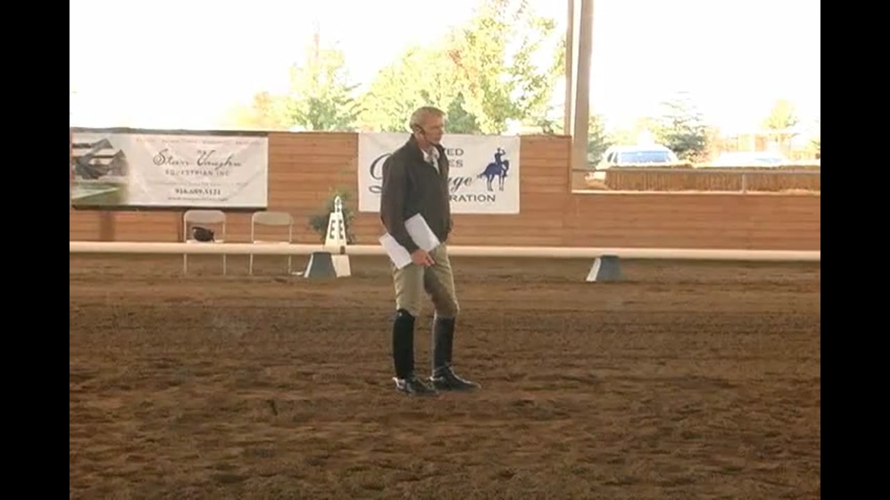 Tempi Changes & Zig Zags with a Croup High Horse | Jan Brink | PART 03