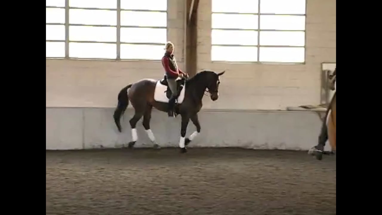 Suppling Your Horse and Training Changes | Courtney King-Dye | PART 01