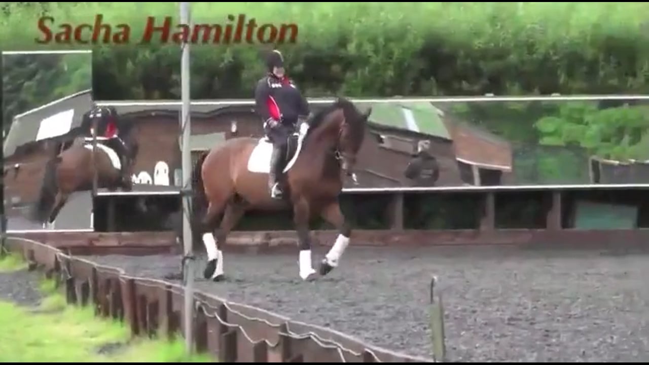 Sacha Hamilton—Para Equestrian Dressage Part 1