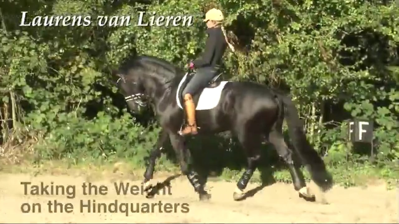 Take the Weight on the Hindquarters | Laurens van Lieren | PART 02