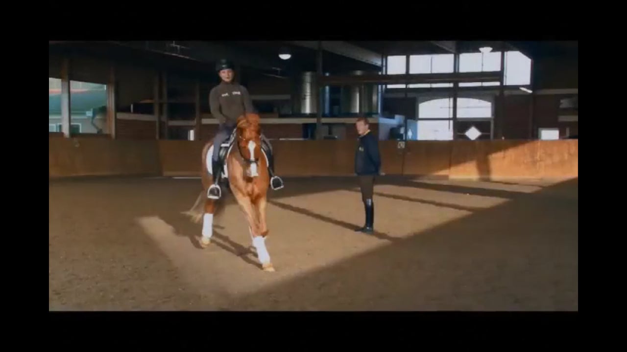 The Young Horse - Basic Training | Oliver Oelrich | PART 03