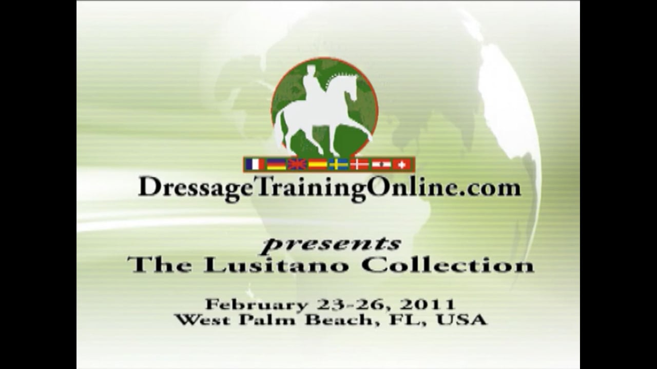 The Lusitano Collection Auction 2011 | Brazilian Lusitano