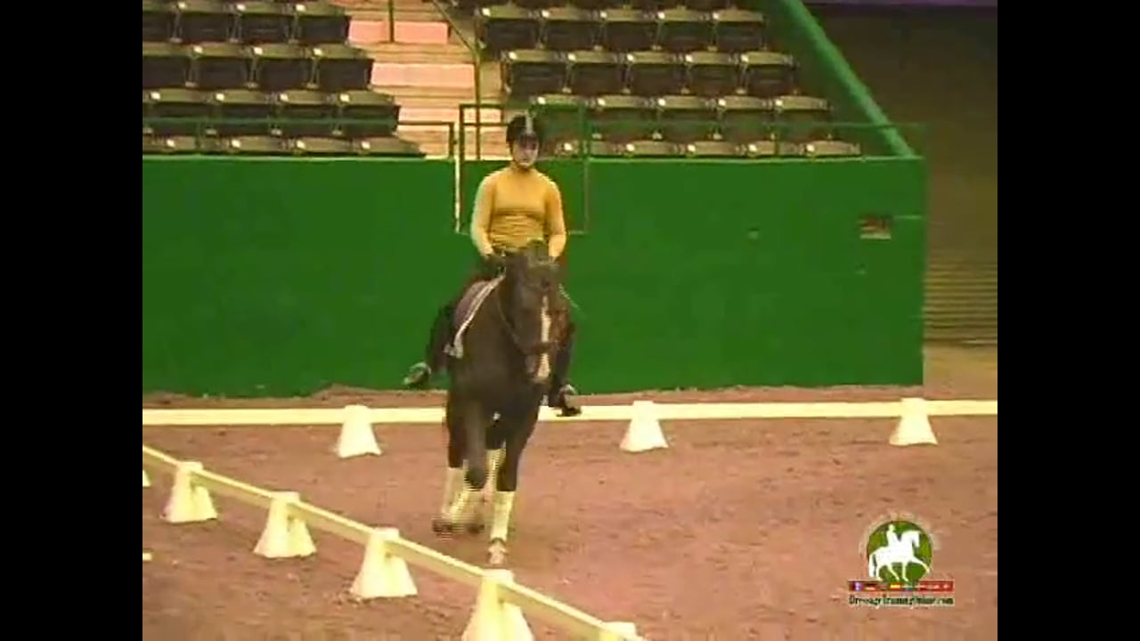 Testing the Signals, Does Your Horse Understand? | Jan Brink | PART 03