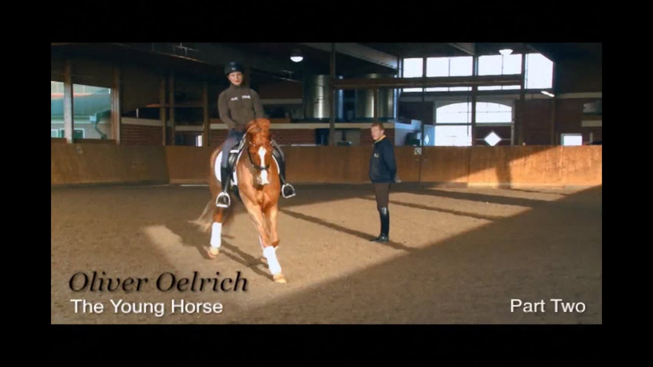 The Young Horse - Basic Training | Oliver Oelrich | PART 02