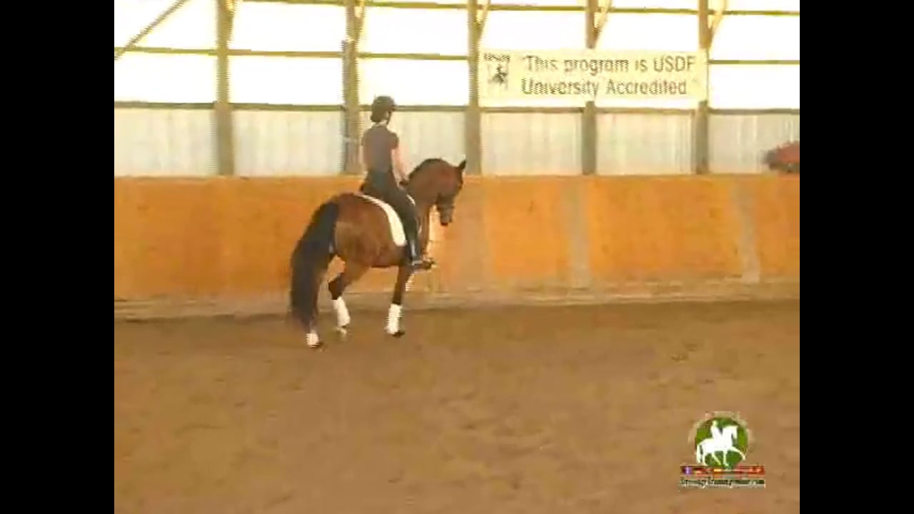 Third/3rd Level Training, Through the Levels - Janet Foy & Steffen Peters
