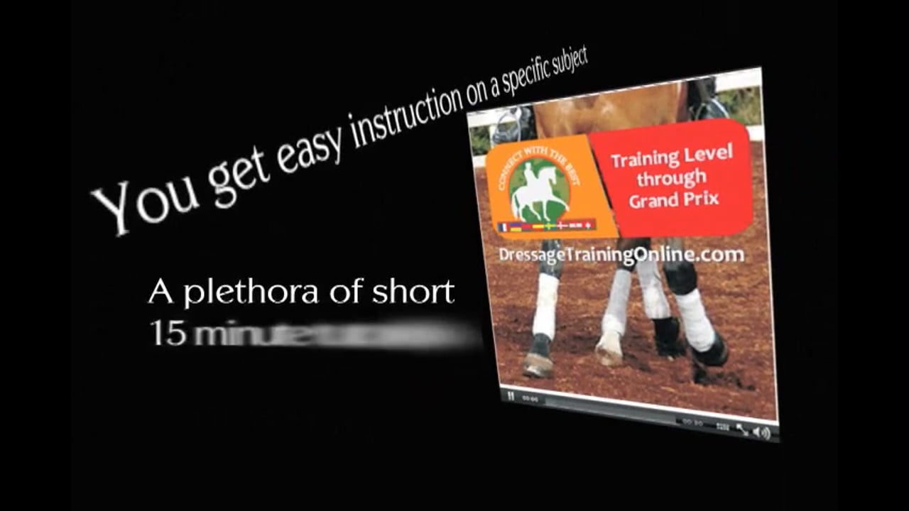 The Young Horse - Basic Training | Oliver Oelrich | PART 01