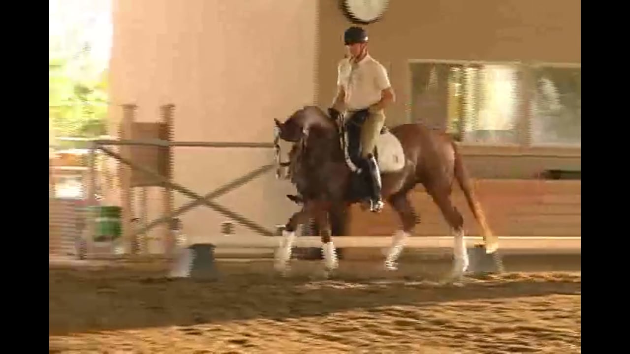 Succeed/USDF FEI Level Trainer's Conf. Day 1 | Michael Etherly | PART 03