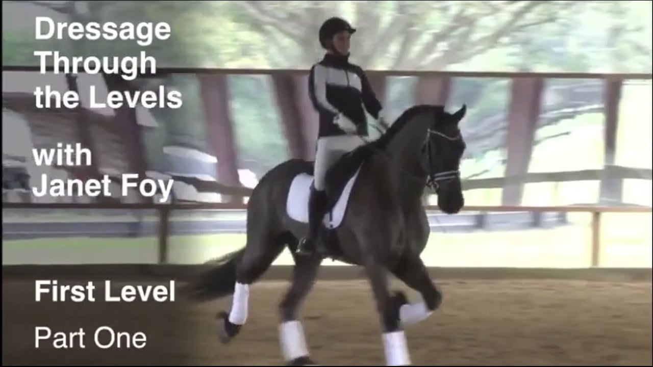 Through the Levels, First Level | Janet Foy | Intro