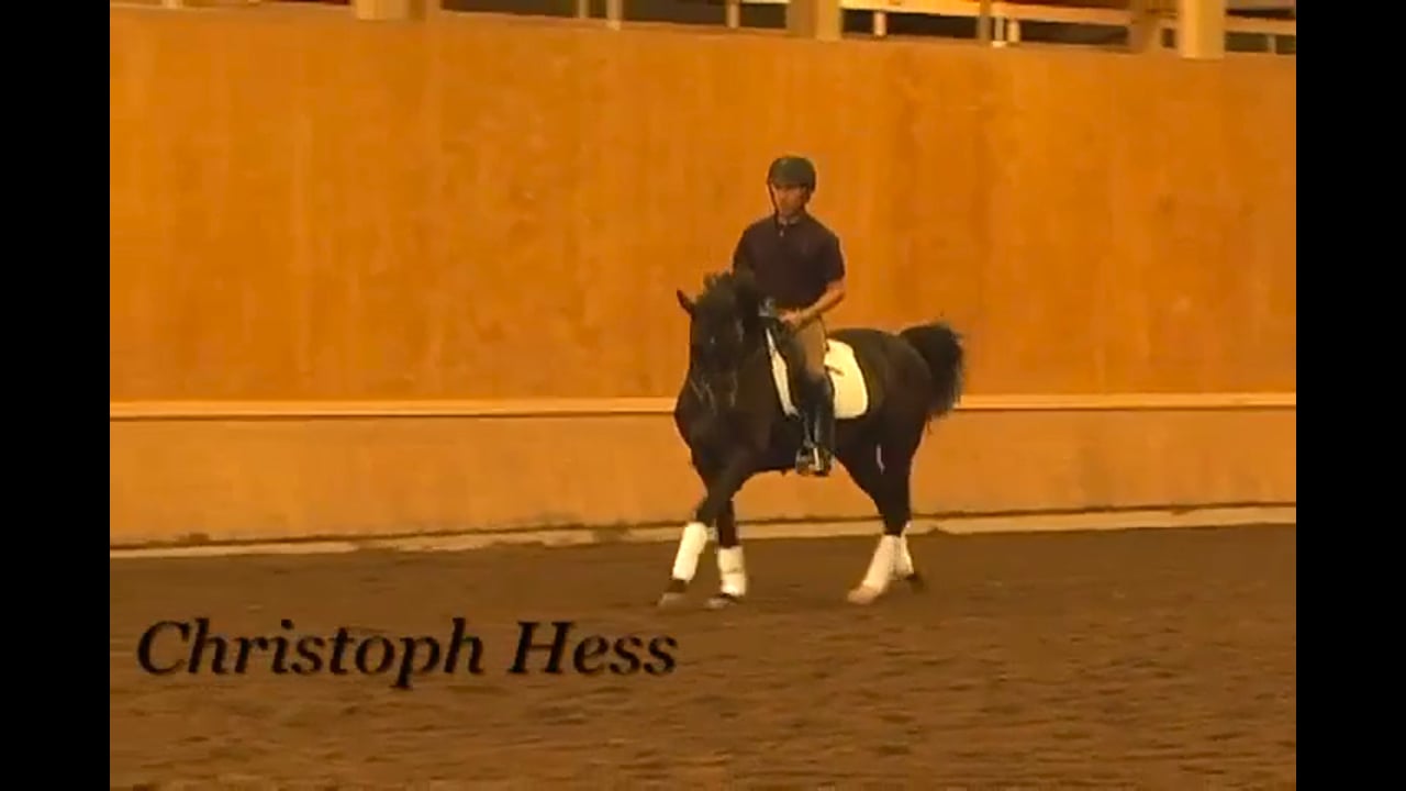 Stretching for Upper Levels | Christoph Hess | PART 02
