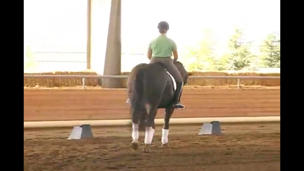 2007 Succeed/USDF FEI Trainer's Conf.: Day 1 | Courtney Frazer | PART 02