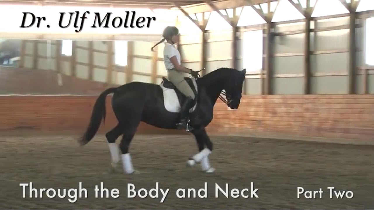 Through the Body and Neck | Dr. Ulf Moller