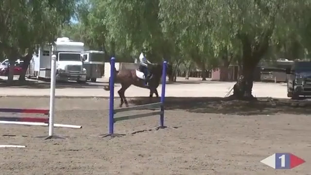 Daily Tuning For The Event Horse | Tamie Smith | TRAILER