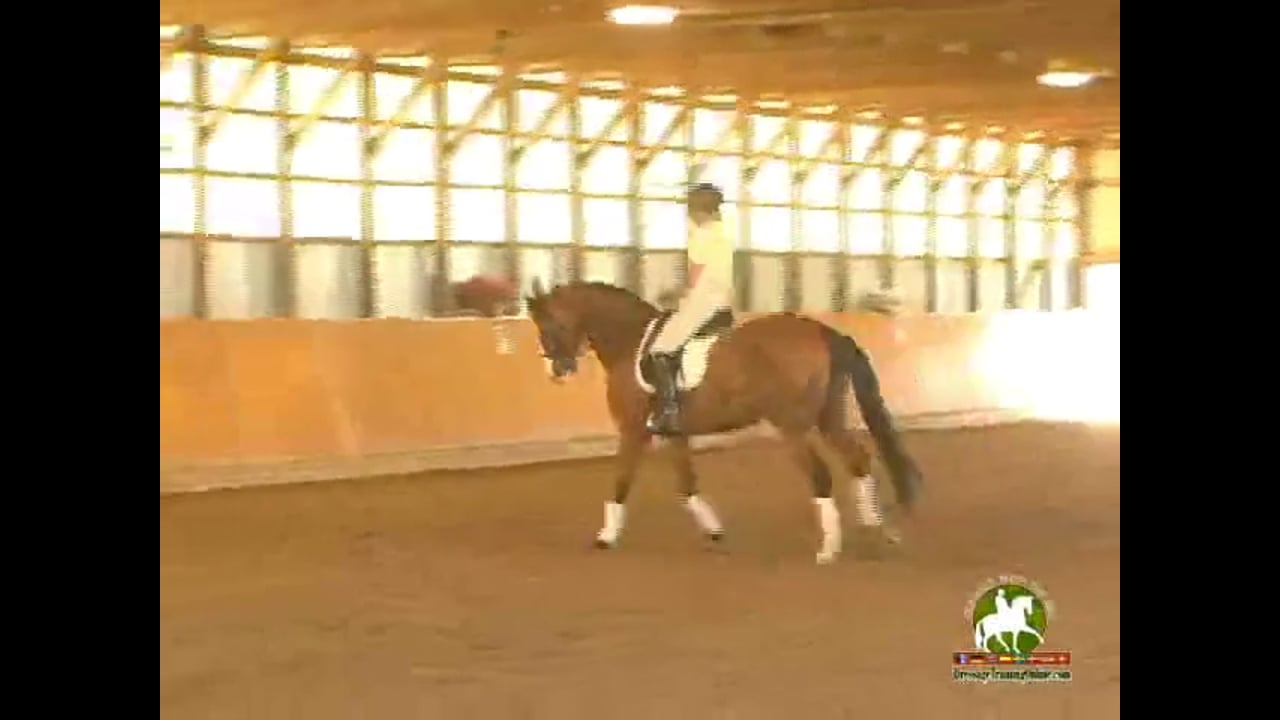 Third Level: Training Through the Levels | Janet Foy & Steffen Peters | PART 04