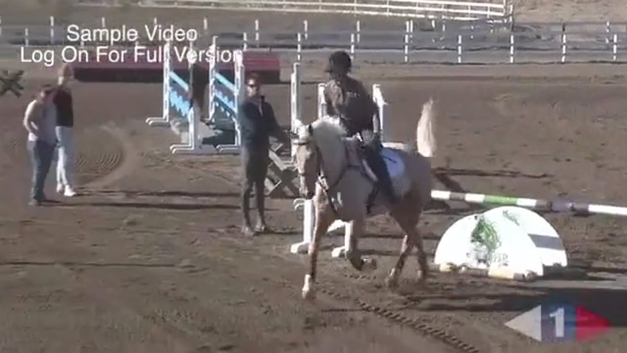 Trotting & Walking Fences | Will Coleman