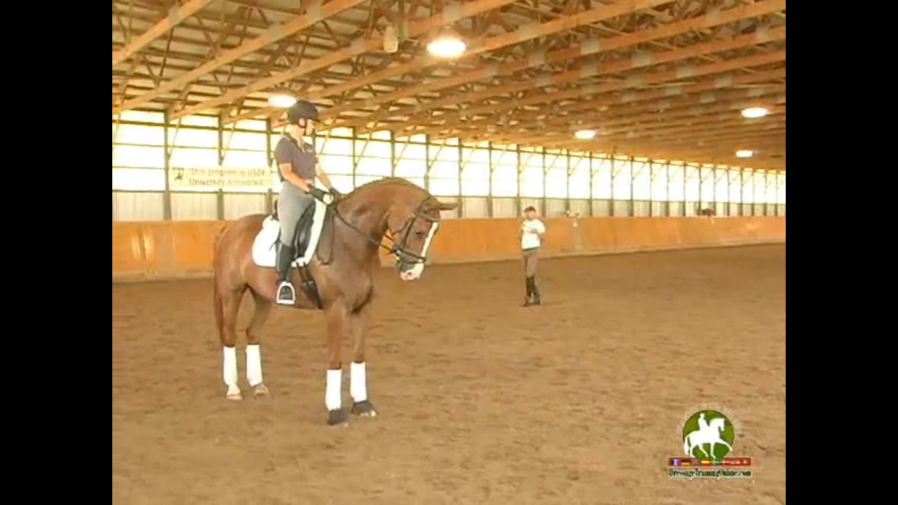 Third Level: Training Through the Levels | Janet Foy & Steffen Peters | PART 02