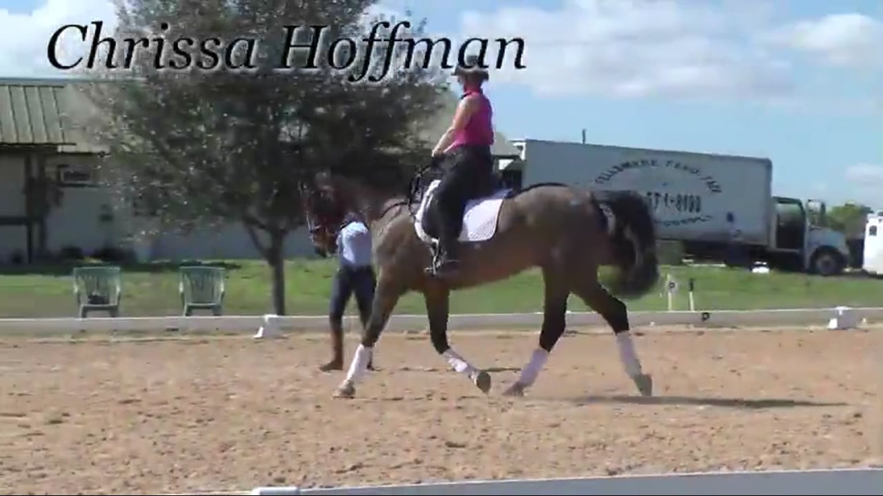 Aggressive and Passive Seat | Chrissa Hoffman | PART 03