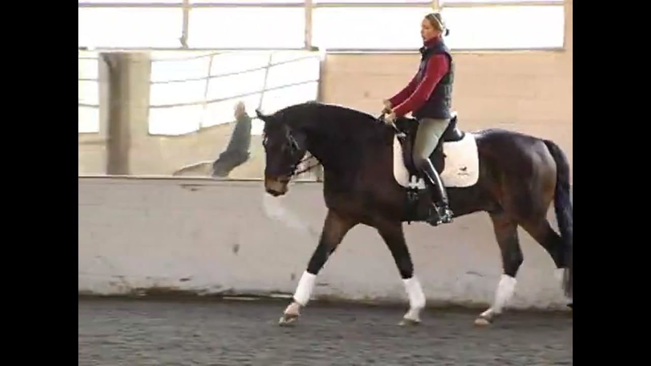 Gait Quality & Developing the Piaffe and Passage | Courtney King-Dye | PART 03