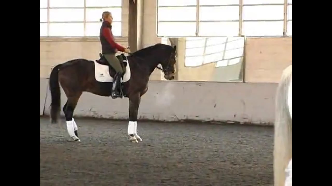 Gait Quality & Developing the Piaffe and Passage | Courtney King-Dye | PART 02