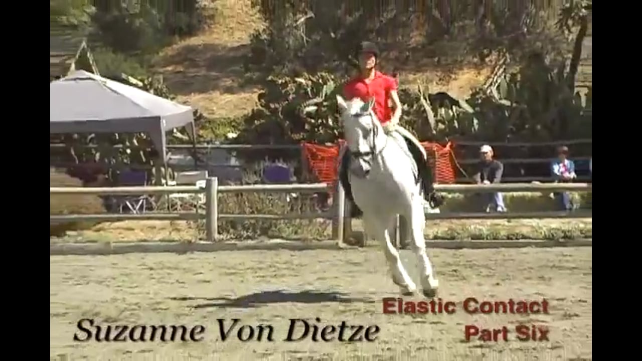 Training Basics, Elastic Contact | Susanne von Dietze | PART 06