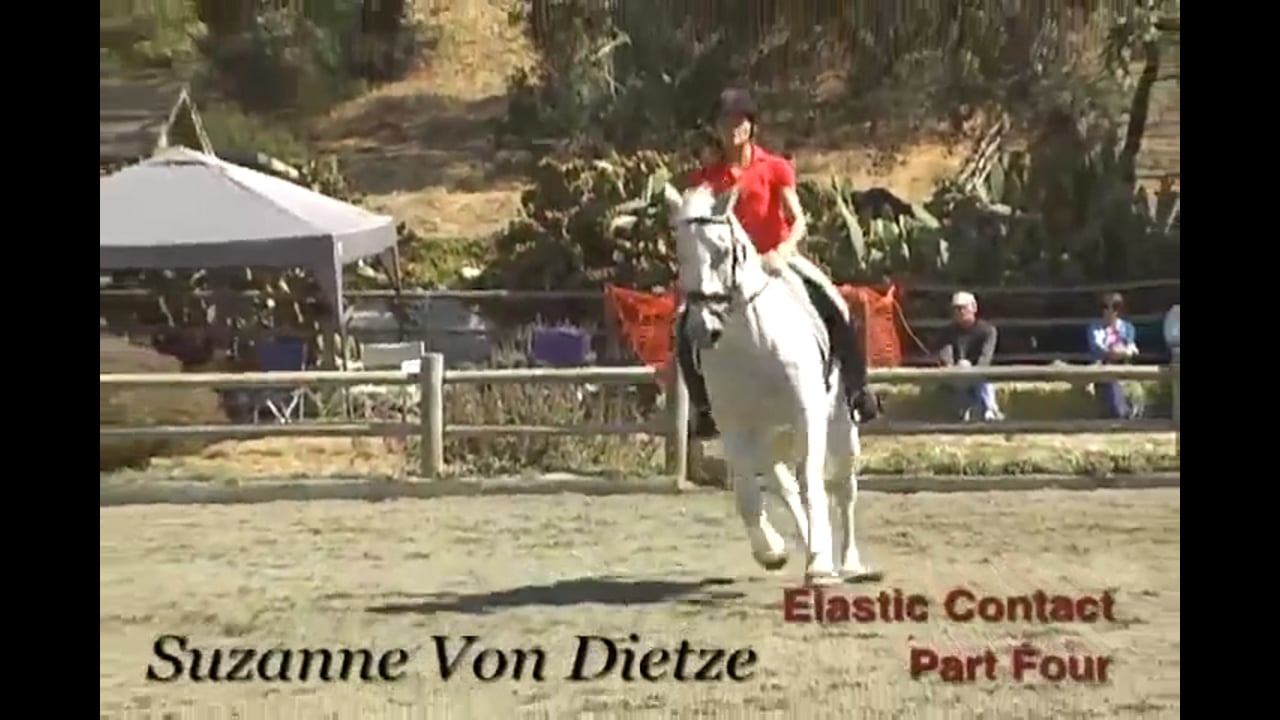 Training Basics, Elastic Contact | Susanne von Dietze | PART 04