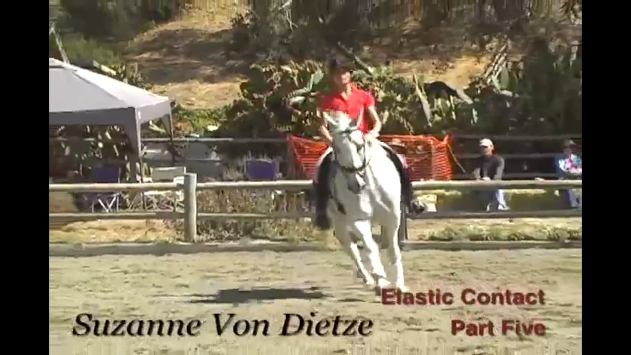 Training Basics, Elastic Contact | Susanne von Dietze | PART 05
