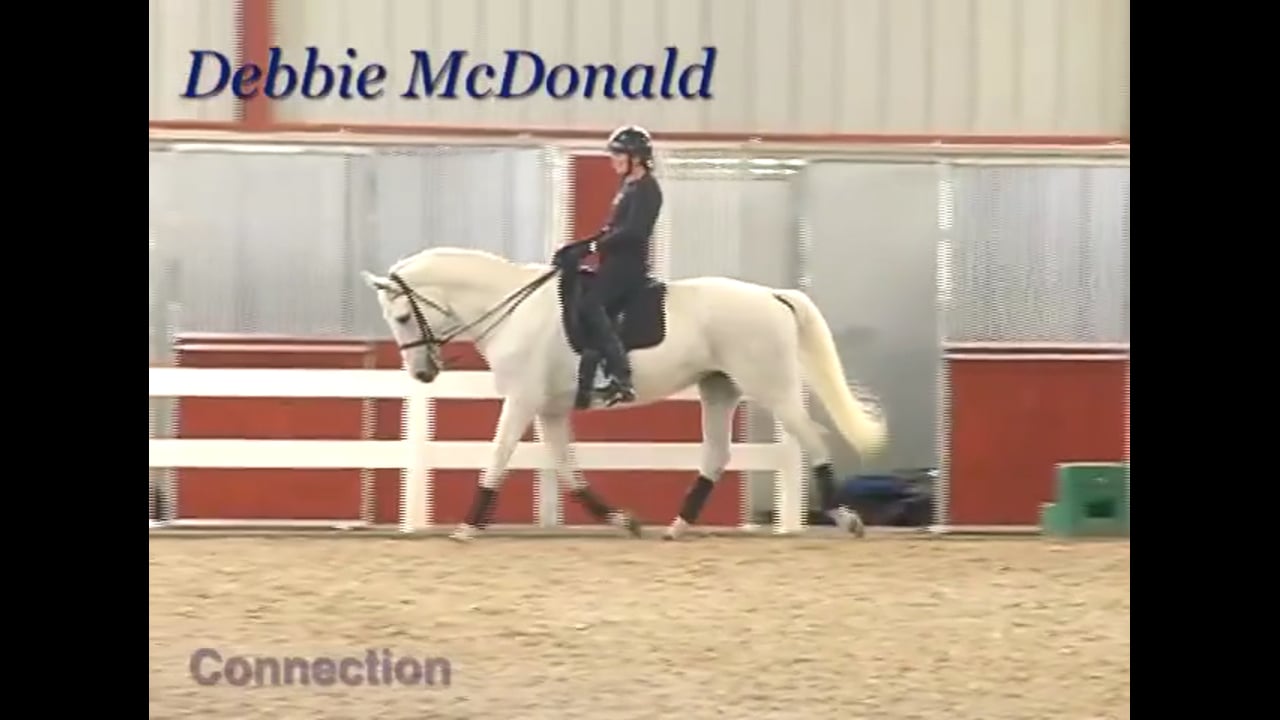 Training Level Basics: Connection | Debbie McDonald | PART 03