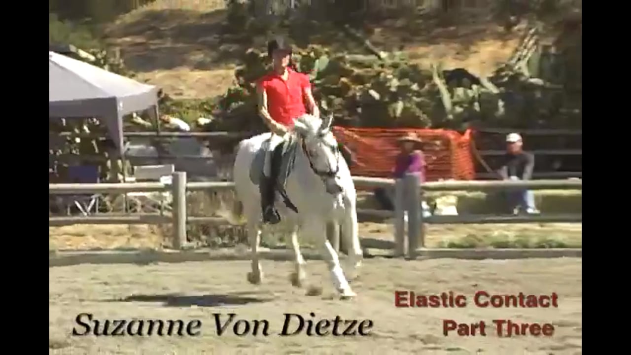 Training Basics, Elastic Contact | Susanne von Dietze | PART 03
